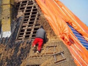 De kap is hard toe aan nieuw riet!