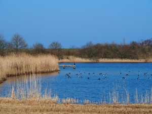 Dijkgaten Wieringermeer