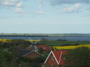 -Molen-in-koolzaad-en-Lymfjord