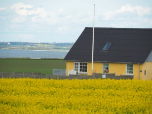 Typisch-Deens-twee-keer-geel