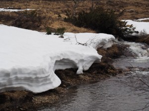 23-Sneeuw-genoeg-Aust-Agder-en-Telemark