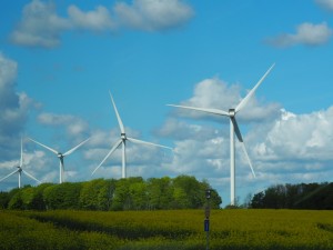 Koolzaad-en-wind-Deense-energie