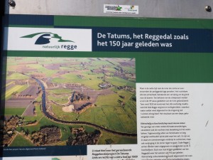 Natuur terugbrengen naar de Regge