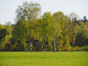 Kerstmaaltijdhut