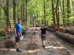 Harco en Agaath in't Eelerbergerbos