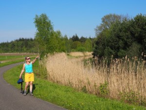 Roofvogel in't vizier