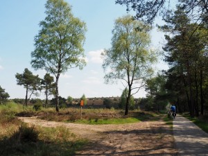 Fietspad tussen Sprengerberg en Haarlerberg