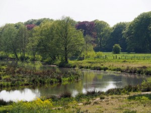 En daar hebben we de Regge weer met haar fraaie kronkels en Meanders