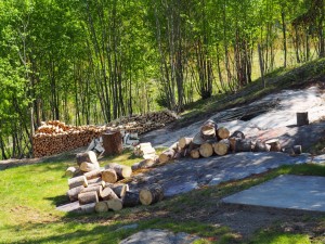 Hier komt nog veel meer hout bij na het hout uit Drangedal. Wordt vervolgd...