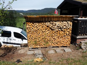 De houtvoorraad groeit op het erf. Daarover een volgend blog méér nieuws. Iets met BEVER