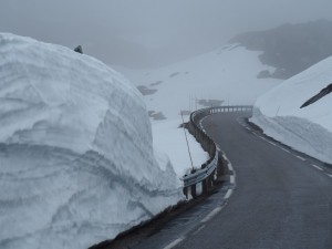 Sneeuwwal na sneeuwwal