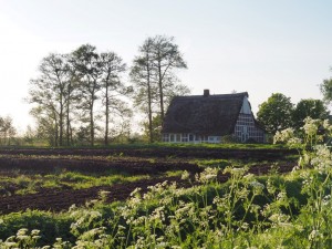 Turfveld en vakwerkhuis richting Elbe bij oversteek Glückstadt