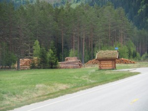 4. Noorwegen betekent hout, hout, hout. Je ziet stapels langs de weg, houtzagerijen, vervoer, maar ook een lief bushokje met het typische Noorse dak