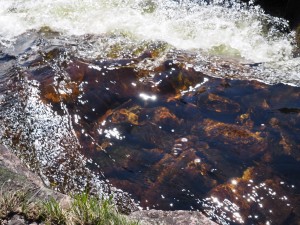 Zonnespel in het water bij Trongedalsnuten