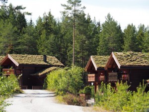 Het skidorp Vrådal is niet een omrit waard! We stuiten deze vakantie vaker dan in noord-Noorwegen op omvangrijke skidorpen. Uit de grond gestampt. Gelukkig bleef het gras bovenop zitten