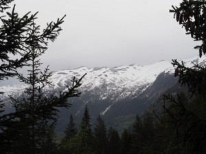 Terwijl naast ons nog een dik pak sneeuw op de bergen ligt. In zuid Noorwegen!