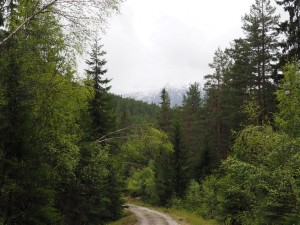 28. Diep onder de indruk lopen we het Veiådal in het Setesdal uit