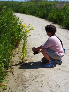 Annemarie fotografeert en fotografeert... 