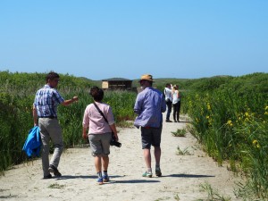 Wandeling door natuurgebied het Zwanenwater aan de Noord-Hollandse kust bij Callantsoog