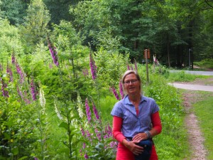 12. Terug in het bos ontdekken we dat de Digitalis hoger groeit dan ik