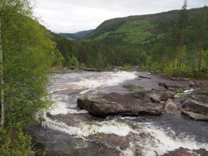 7. Op de hellingen zijn kleurverschillen door nieuwe aanplant met berken mooi te zien