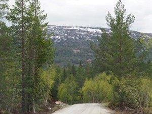 15. We rijden braaf verder richting Torsdalen