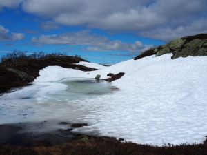 15. Een nieuw obstakel. Een bevroren bergmeertje op het DNT-pad omringd door sneeuw, waardoor we niet goed kunnen zien waar het veilig is. We daarom maken een grote omweg, maar hebben gelukkig onze GPS bij ons!