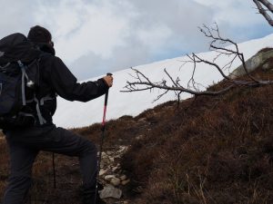 30. En nog zo'n veld, nu op een top aan de noordzijde