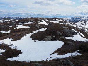 30. Het lijkt ineens winter in zomerse temperaturen