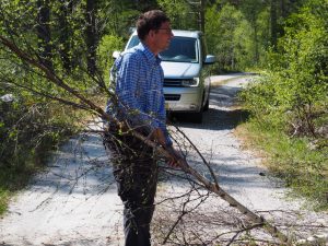 31. Harco sleurt berkenbomen de weg af. 