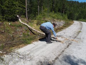 32. Maar... dan rijzen er twee nieuwe obstakels: de weg wordt een graspad en ja hoor: STENGT mét slagboom. 