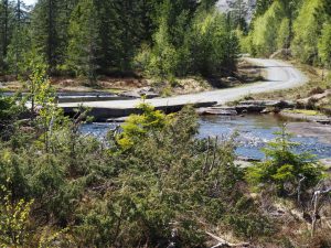 33. We rijden terug richting Libru en slaan opnieuw een smal weggetje in. Daar zetten we de VW-bus langs snel stromend water