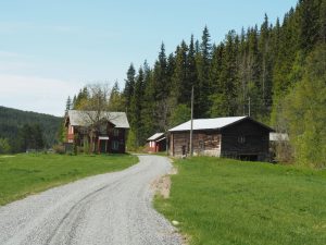 15. We rijden de onverharde Fjellgardsvei verder op omhoog de bergen in