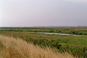 27. Blakeney Channel ligt tussen het landschap verscholen