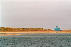 36. We maken met zwabberende benen een uitstapje naar het National Nature Reserve, met uitleg over flora en fauna