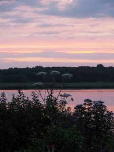 Zelfs de Zuiderhaven kleurt roze