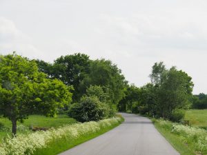 5. We mijden, net als op de heenreis naar Noorwegen, de Duitse autobanen. Dit fraaie landweggetje met bloeiende bermen leidt ons naar het Kielerkanaal