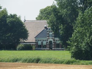 14. De ene na de andere fraaie Friese boerderij of gerestaureerd huis wisselen elkaar af. In een land vol met graan dat tegen de oogst aan zit? Een lust voor 't oog!