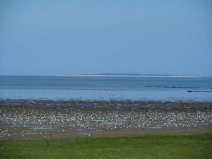 18. Met het zicht op Ameland. Het is springtij en super laag water. De boot naar Ameland heeft forse vertraging door het extra lage water én de vakantiedrukte!
