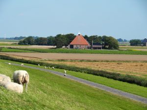 33. Mooi om het verschil in landschap binnen- en buitendijks in één wandeling te vergelijken