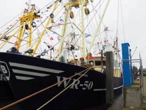 De WR50 ligt aan het paalscherm, vertelt Sylvia. Gelukkig zijn er vissers te over, die mij kunnen vertellen waar het paalscherm is én waar WR50 precies ligt. Want daar kom ik voor!