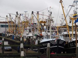 De WR50 is één van de laatste boten... tegen die tijd ben ik een drijfsijsje op dat havenhoofd