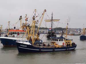 Daar gaan de eerste vissersboten het zoute Wad op met passagiers aan boord. Iedereen kan zomaar mee. Tof hoor!