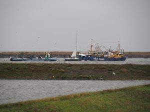 20. Onder zeil waagt deze zeilboot zich tussen de vloot door richting Stevinsluis