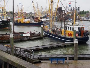 De WR38 vaart voorbij de uitgang van de werkhaven en komt in het nauw. De oude man met de grijze baard óók!