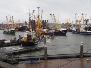 31. Het bootje van de Havendienst is wakker geworden en biedt een sleepje om de WR38 van lage wal los te trekken