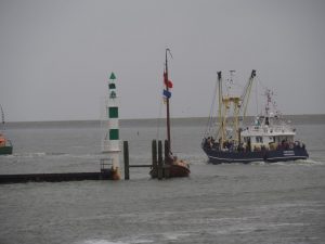 42. Het havenhoofd voorbij