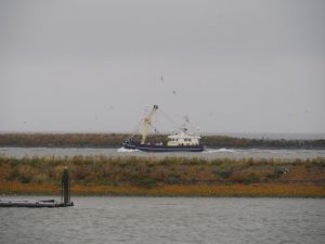 42. In de stromende regen kan ik de WR-40 nog nét zien, terwijl ik voortdurend de lens moet poetsen