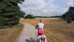 Van 2 t/m 4 september brengen we te fiets door op De Hoge Veluwe, nadat we de VW-bus hebben gestald in Otterlo