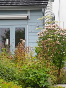 17. Vorig jaar snoeide ik de meeste uitgebloeide bloemen weg. Ik laat ze nu staan de winter door. Dan is de tuin fraaier om te zien en de vogels hebben in het voorjaar nog een springplank naar de nestkastjes op WH20